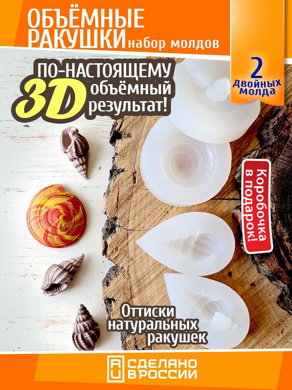 Молды объёмных 3D ракушек