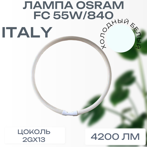 фото Кольцевая лампа osram fc 55 w/840 2gx13 lumilux люминесцентная d 16 mm холодный белый