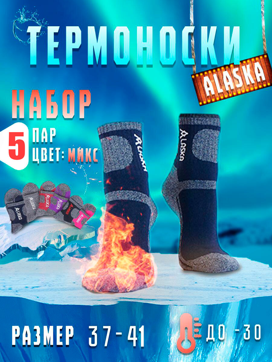 Носки Alaska, комплект, 5 пар, размер 37-41, мультиколор