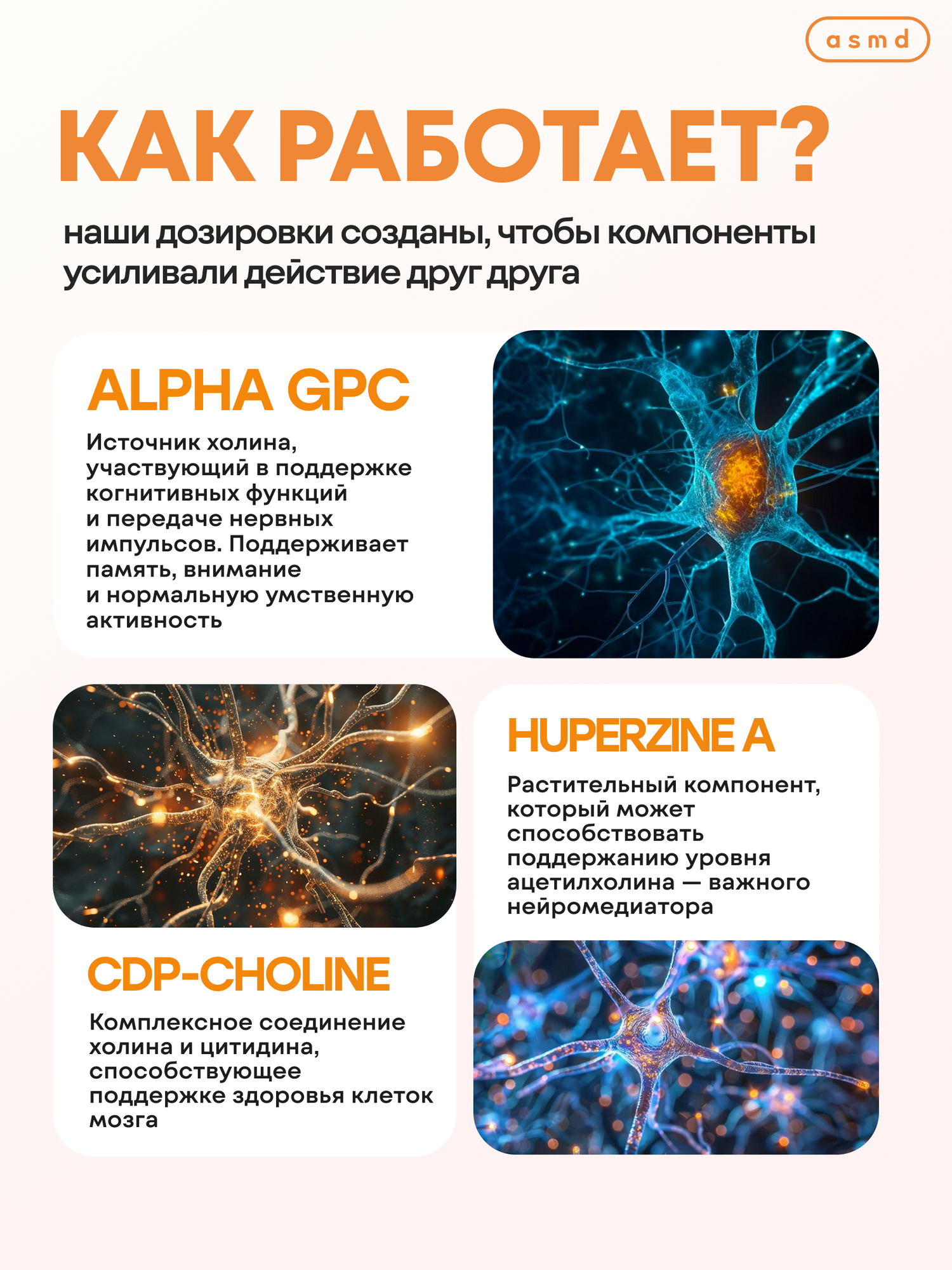 Пищевая добавка Alpha GPC + CDP Choline + Гуперзин A, для когнитивных функций, в капсулах — фото 1