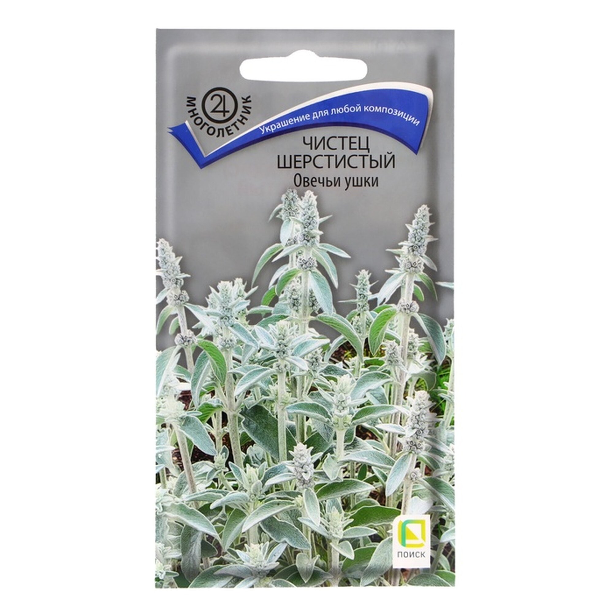 Семена цветов Чистец шерстистый 