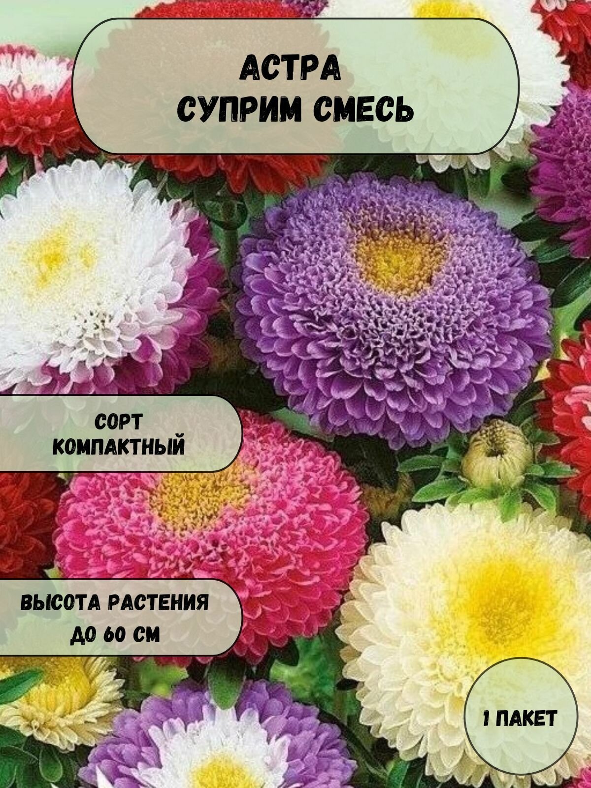 Астра Суприм смесь семена 10 шт