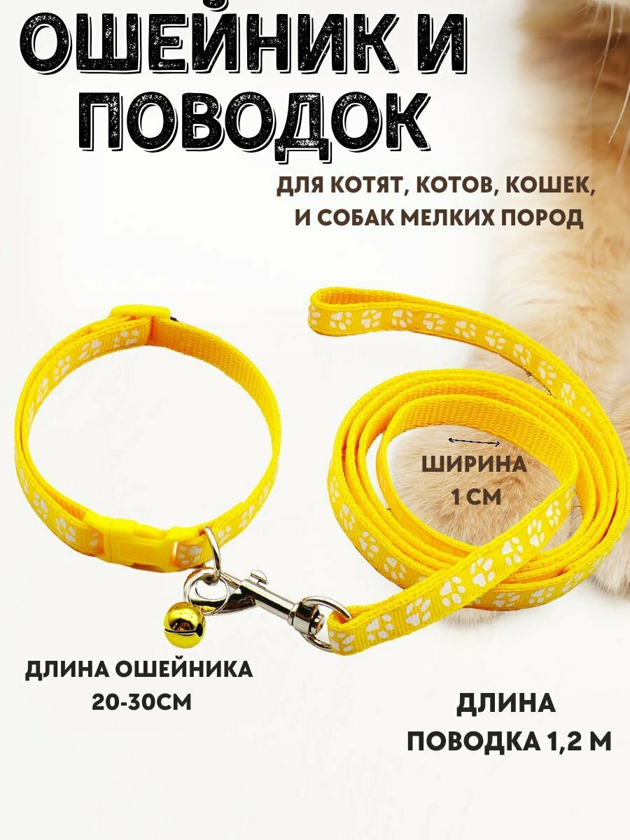 Ошейник с поводком для кошек и мелких пород собак，Подходит для домашних животных весом не более 5 кг