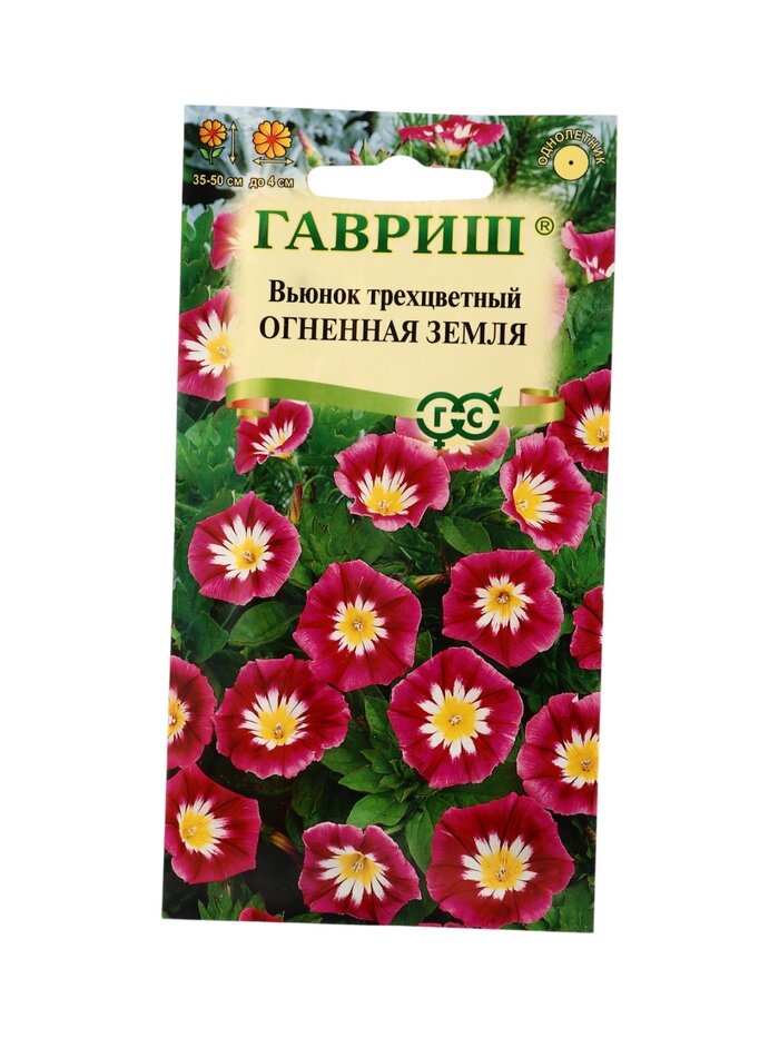 Семена цветов Вьюнок трехцветный «Огненная земля» 0.5 г
