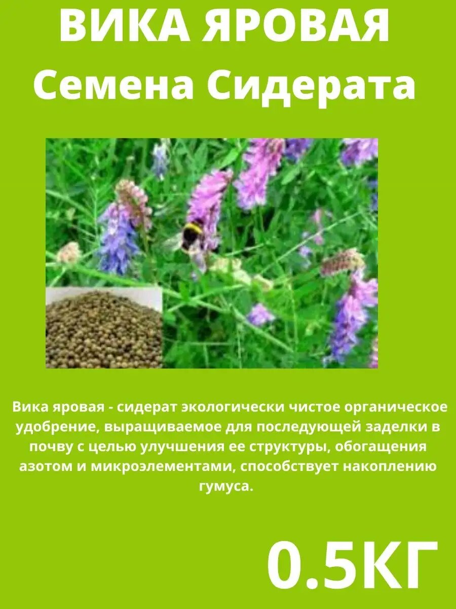 Вика Яровая  семена сидерат 0 5 кг