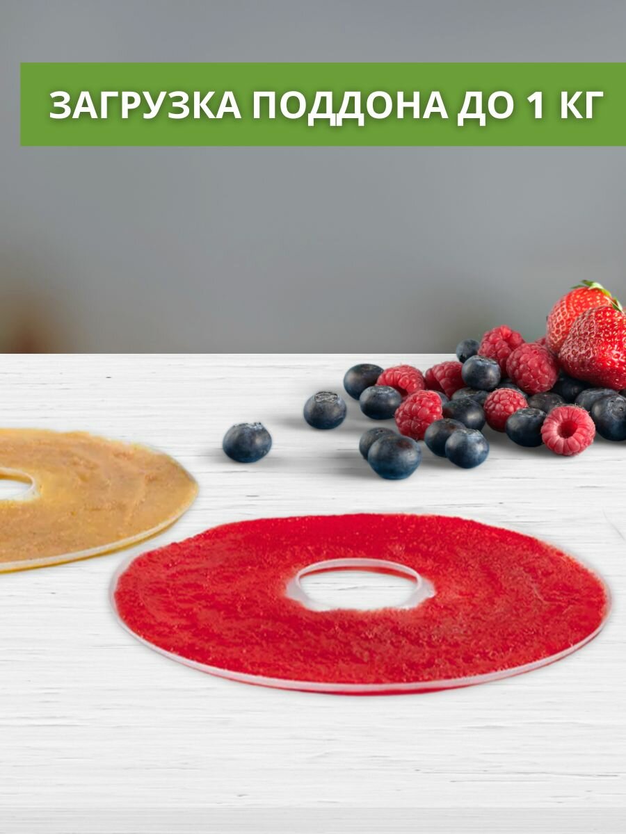 Поддон для пастилы в сушилку, 4шт — фото 1