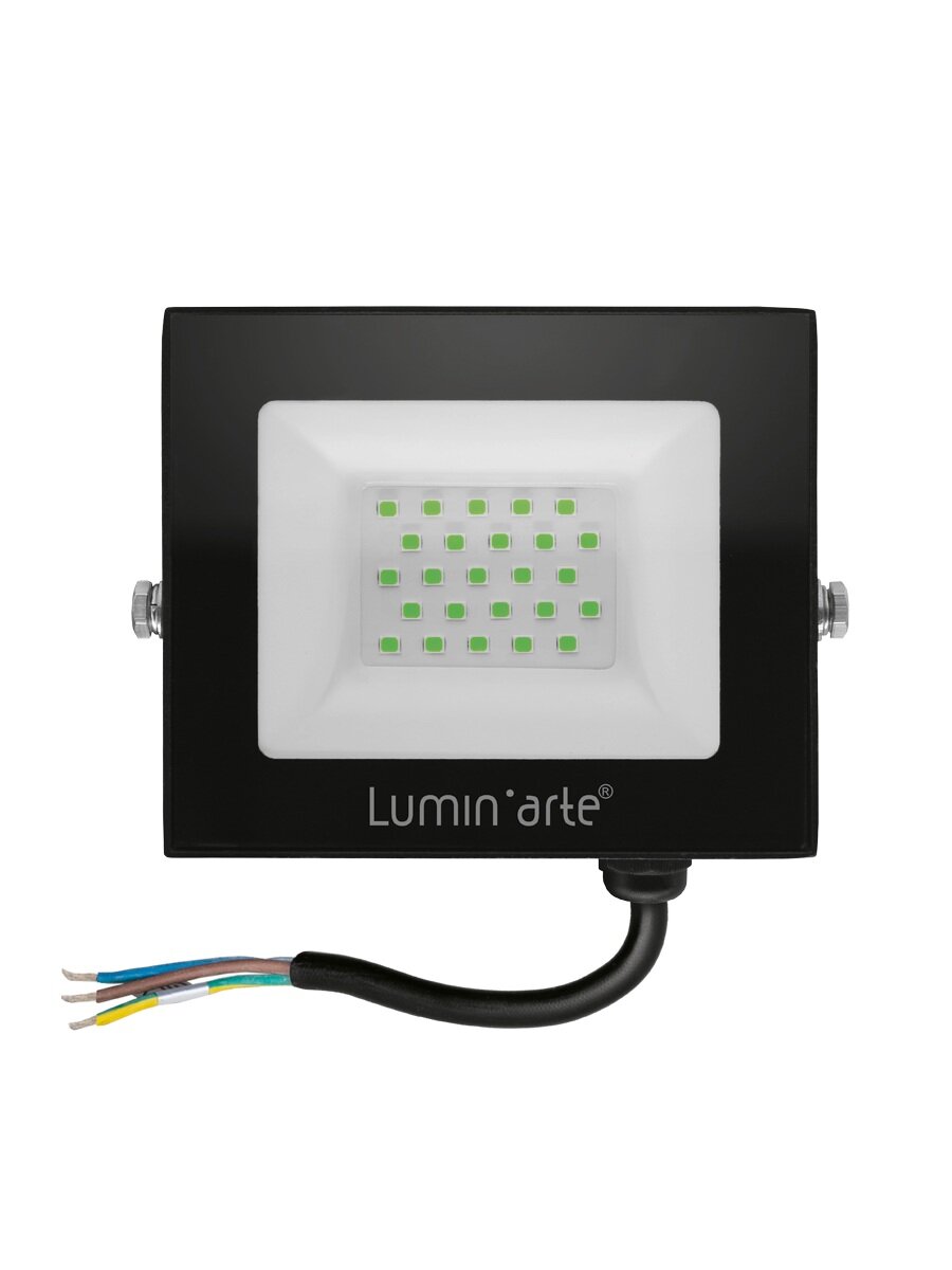 Прожектор светодиодный Lumin arte LFL 30W 07 30Вт Зеленый цвет свечения IP65