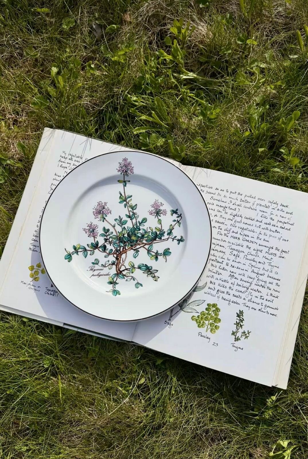 Тарелка десертная "Botanica" Фарфор. Деколь. Villeroy&Boch. Германия. Диаметр: 20 см. 1970-ые годы.