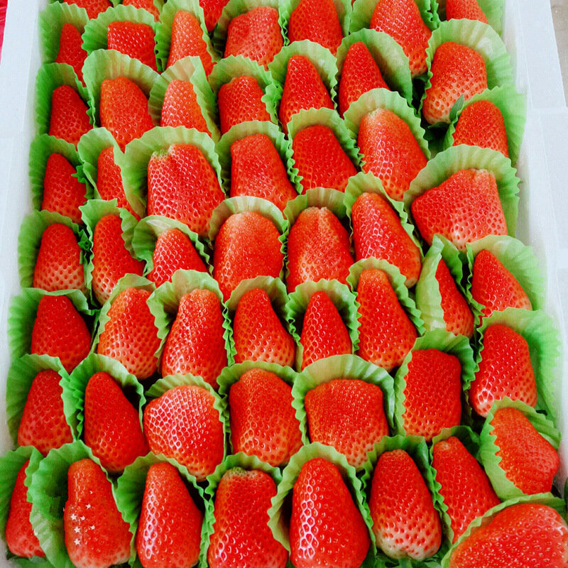 Зеленый торт Cuppers Масляные Cuppers Выпечка торт Cuppers Снег Мэй Нианг Cuppers Печенье Клубника Фрукты База Подушка