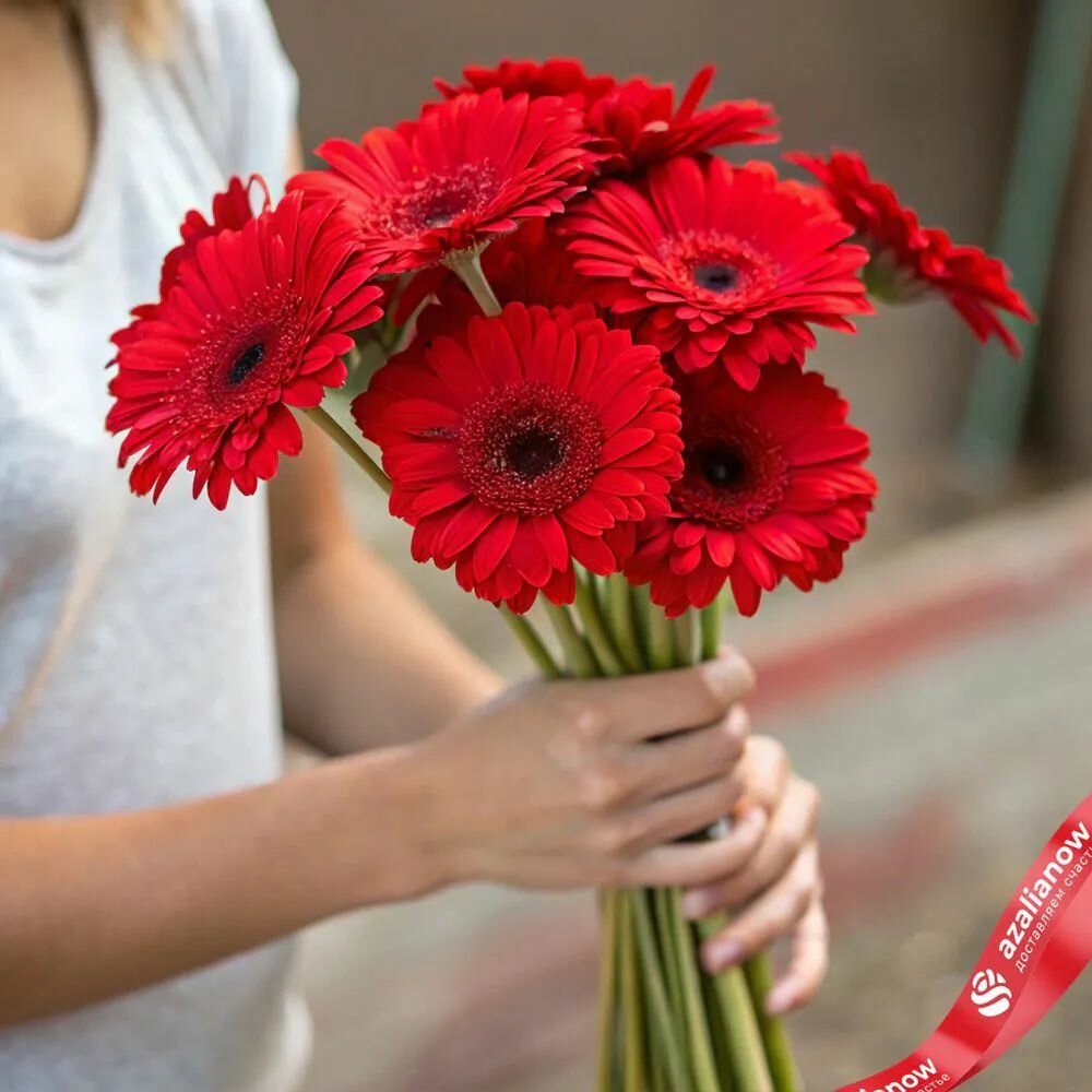 Букет живых цветов из 7 красных мини - гербер под ленту от АзалияНау