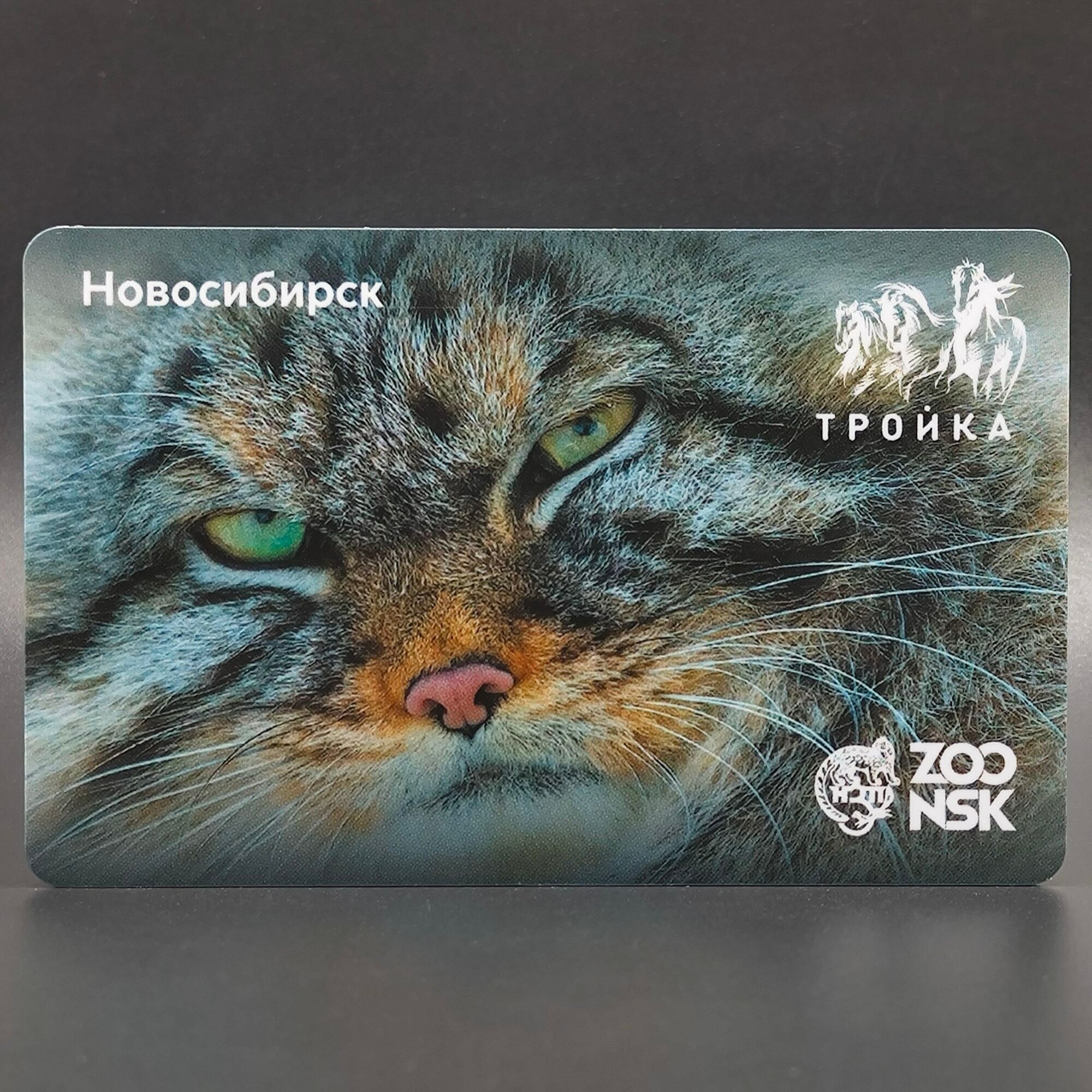Транспортная карта Тройка коллекционная   Манул  Новосибирский зоопарк  Для проезда в Москве и Новосибирске