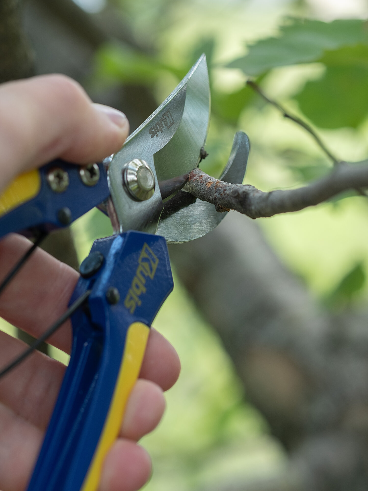 Секатор садовый 200 мм, сталь Mn65, сучкорез для дачи, сада, огорода — фото 1