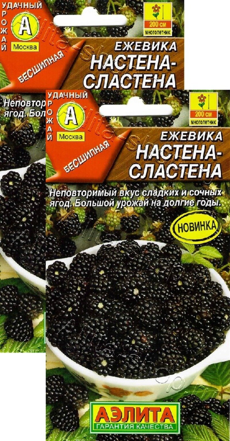 Семена Ежевика Настена-сластена (15 семян), 2 пакета, Агрофирма Аэлита