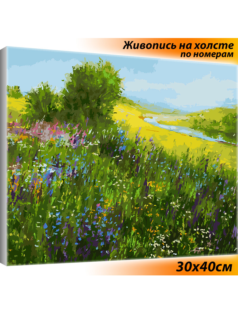 Картина по номерам Белоснежка "Колокольчиковый звон" / Раскраска / Холст на подрамнике 30х40 см.