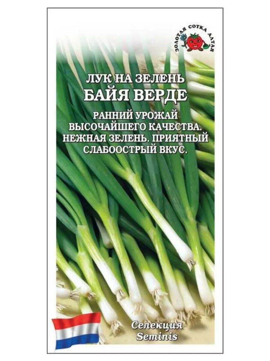 Лук На зелень Байя Верде/ 02г/ среднесп.