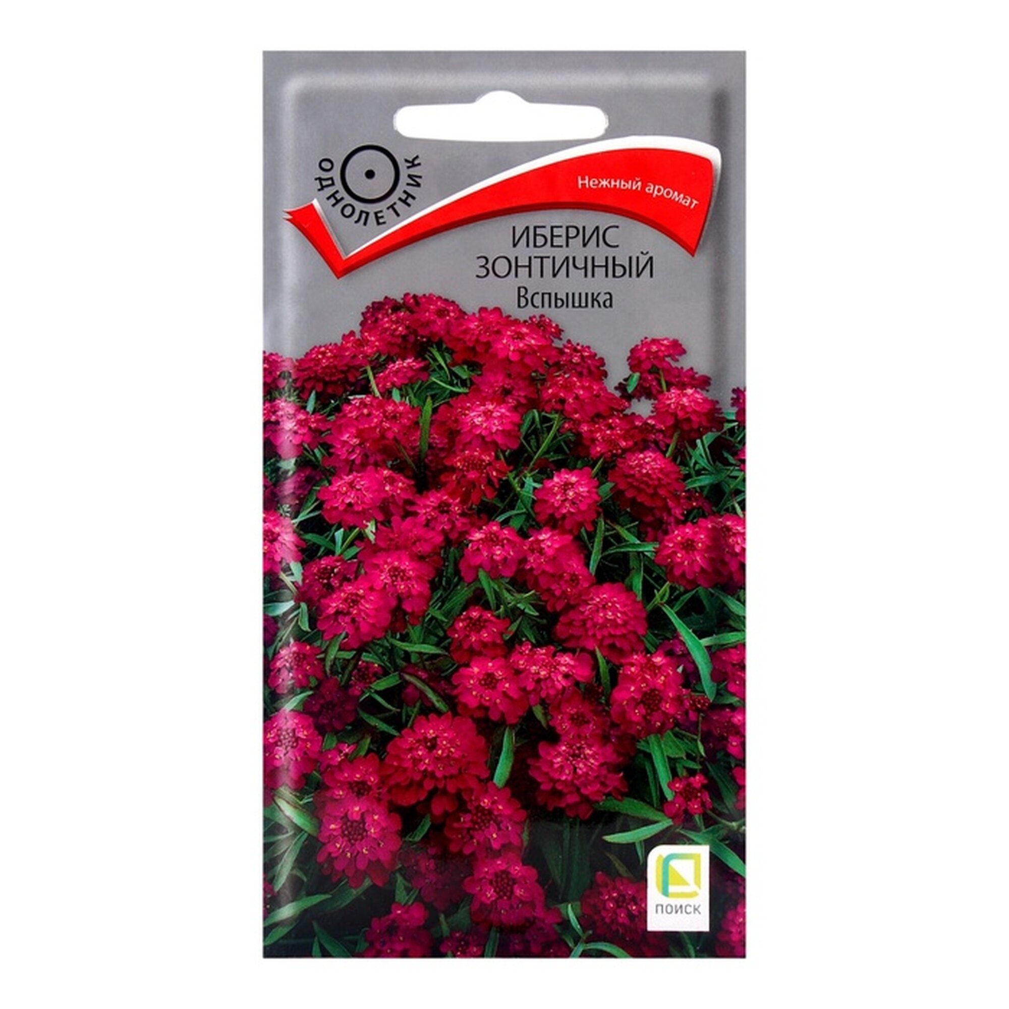 Семена цветов поиск Иберис зонтичный "Вспышка", вес 0.3 грамма