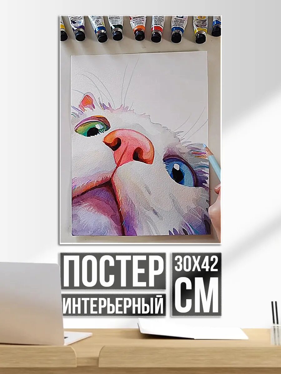Постер на стену Котик вариант 8