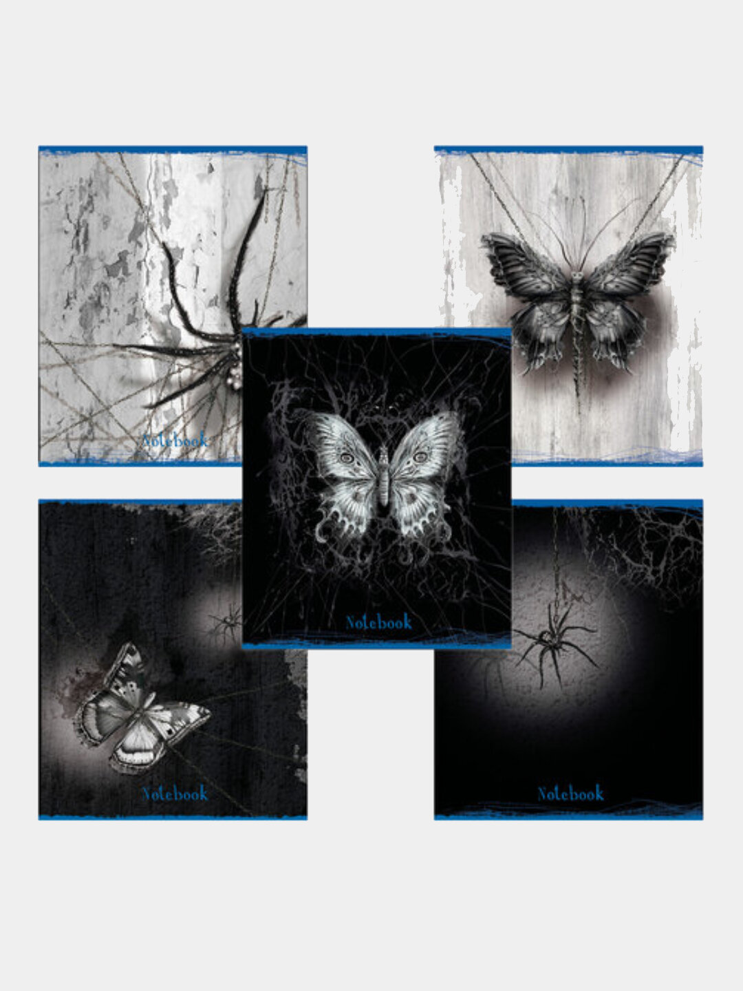 Тетрадь А5, 48л, клетка, "Паутина" (5 шт)