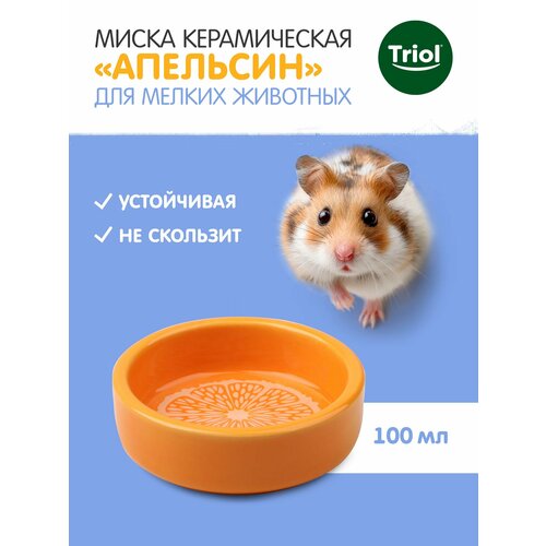 фото Миска для хомяка и других грызунов керамическая triol "апельсин",100 мл