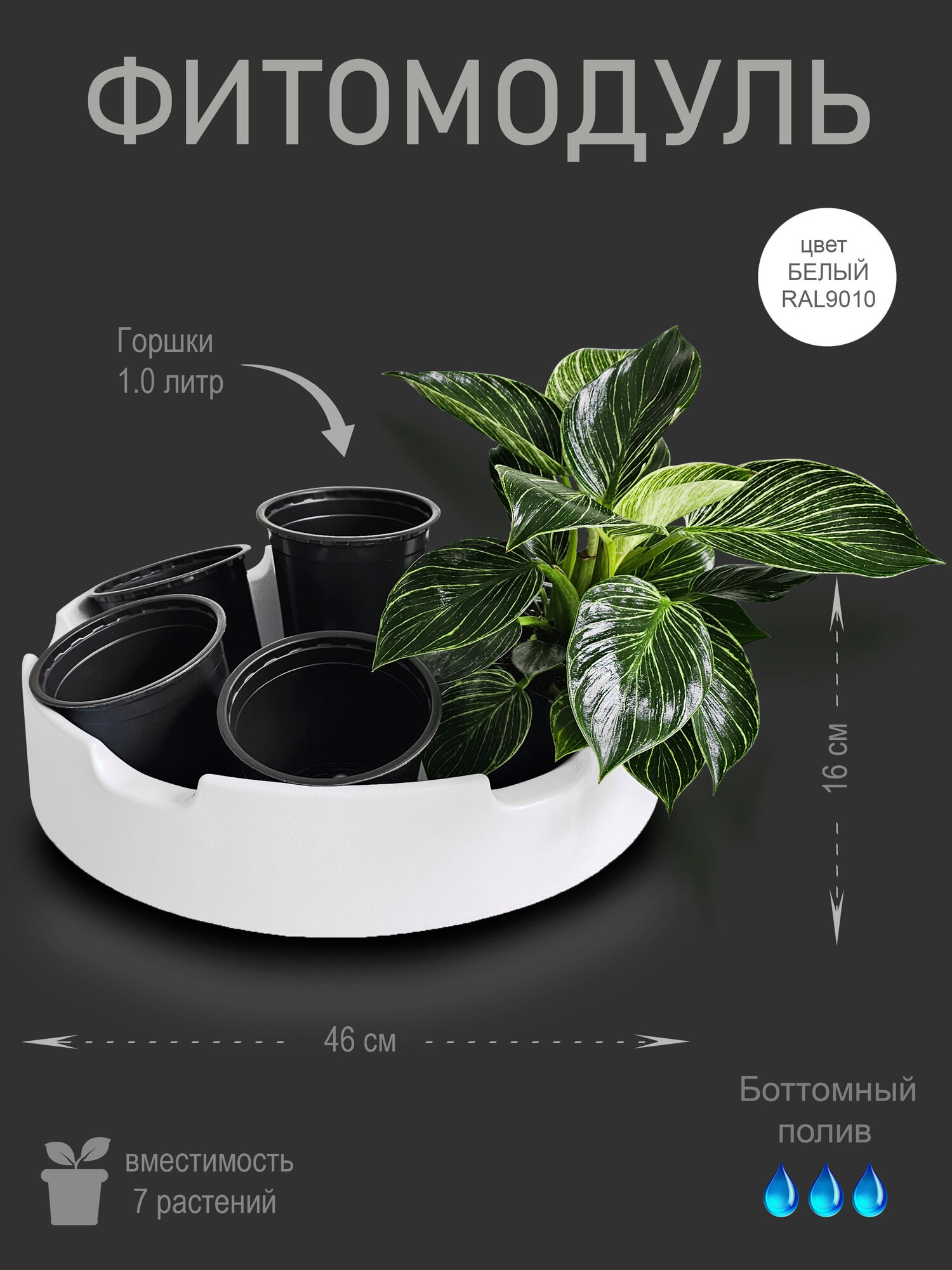 Фитомодуль BOXSAND-7 колонна в комплекте с черными горшками