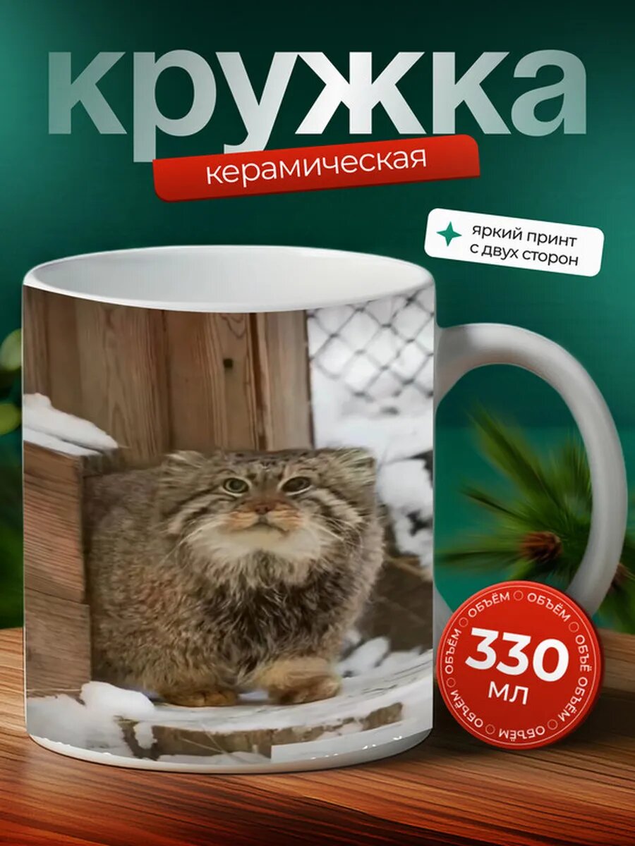 Кружка Австралийская дымчатая кошка 31,
