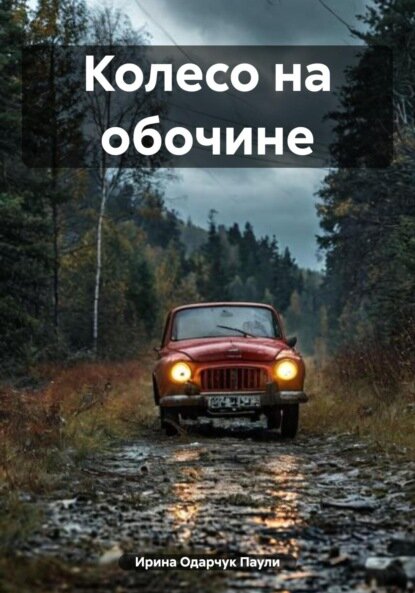 Колесо на обочине [Цифровая книга]