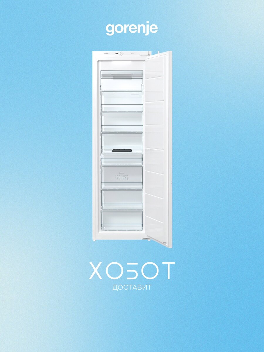 Морозильник BI Gorenje FNI4181E1