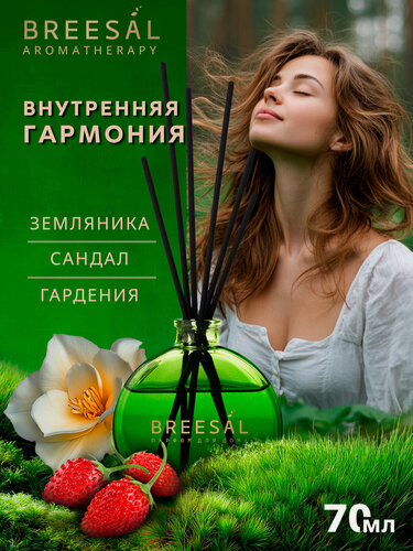 Изображение товара Диффузор для дома с палочками Breesal Arome Sticks Ароматизатор для дома, Внутренняя гармония 70 мл