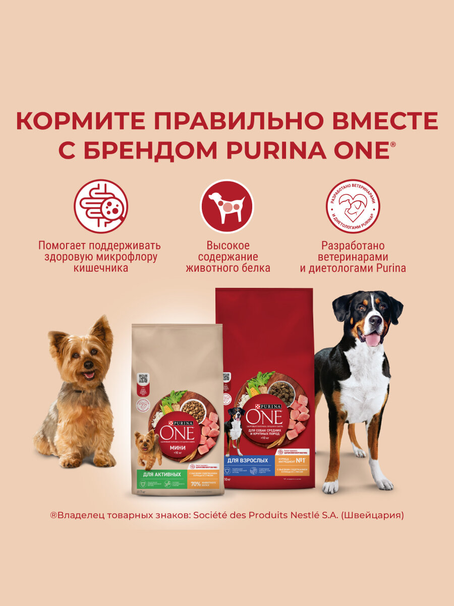 Сухой корм Purina One корм для взрослых собак средних и крупных пород Ягненок и рис, 3,8 кг. — фото 1