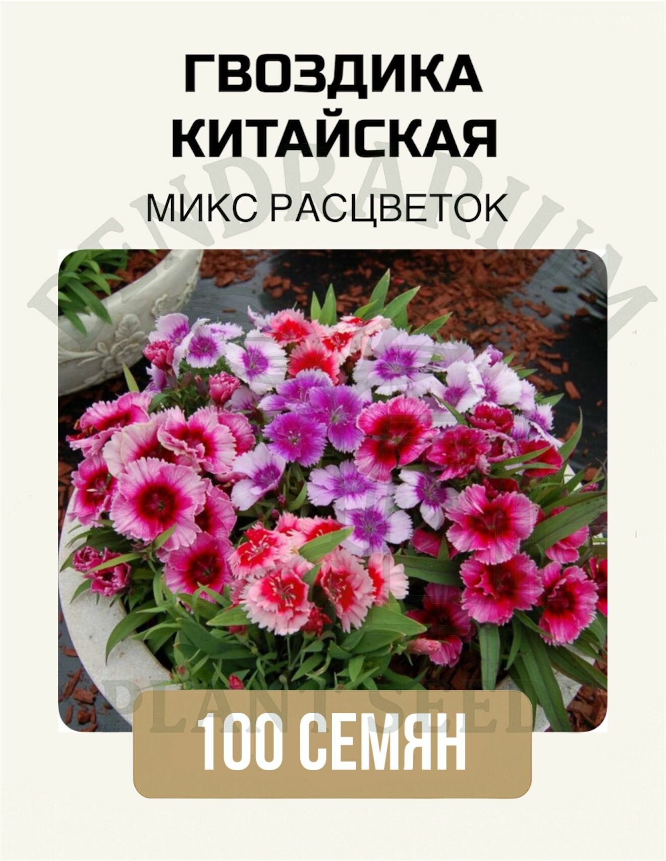 Гвоздика Китайская 100 шт микс расцветок семена