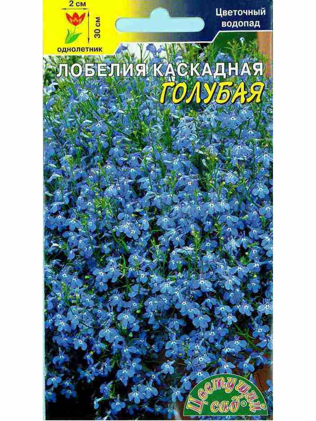 Семена Лобелия Каскадная Голубая однолетник Цветущий Сад 1 пачка - 0.05г семян