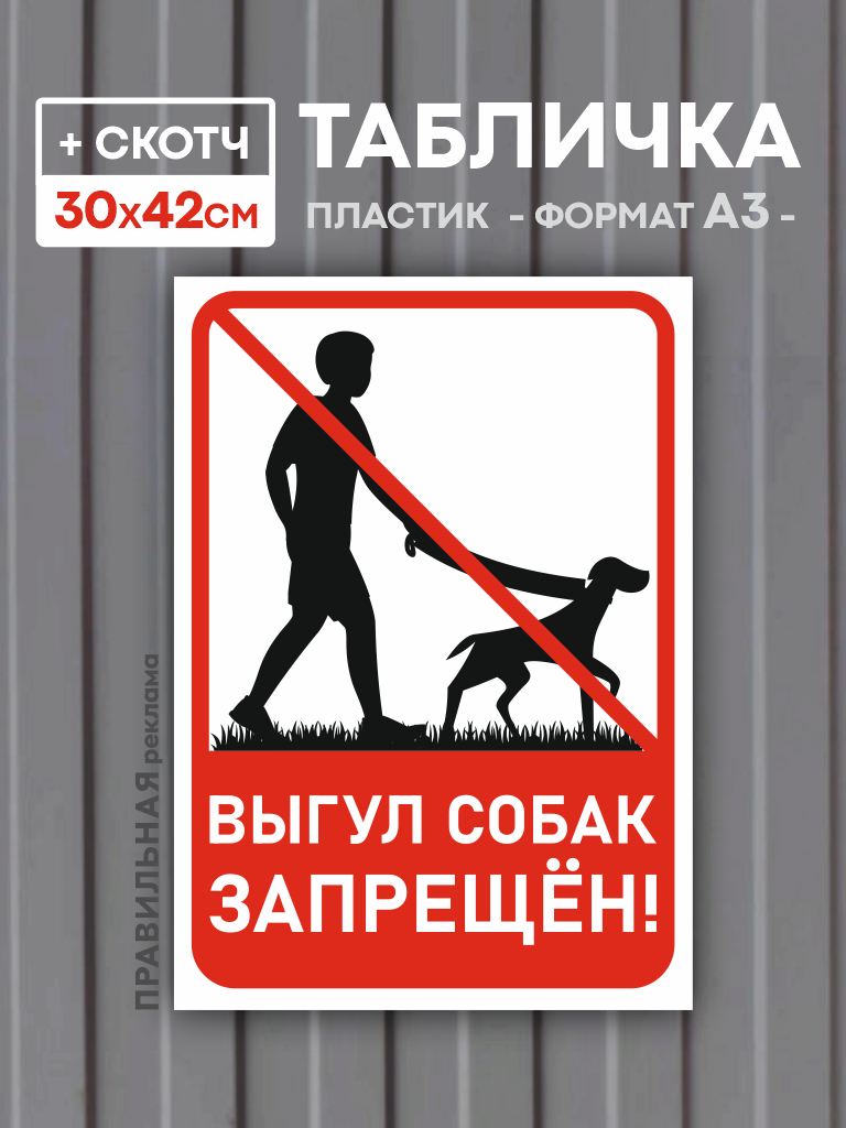 Табличка А3 (30х42 см) "Выгул собак запрещён" (жесткий пластик / скотч / ламинация)