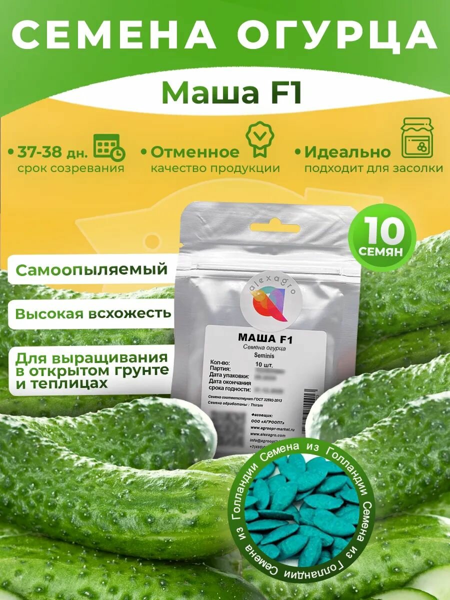 Маша F1 семена огурцов самоопыляемых 10 семян. Высокоурожайный гибрид для открытого грунта и теплицы (Seminis/Alexagro)