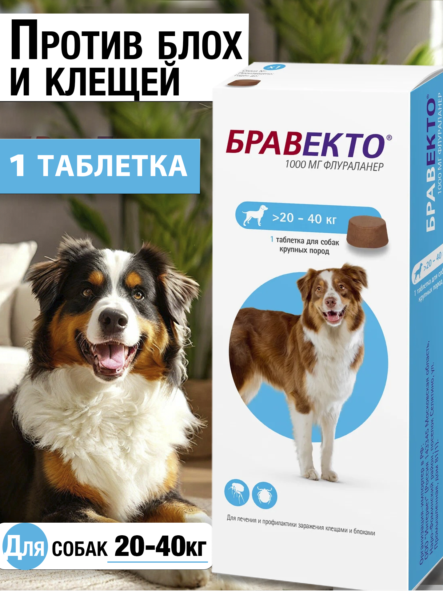 MSD Animal Health Бравекто для собак 20-40 кг, таблетки 1000 мг 1 шт. в уп, 1 уп.