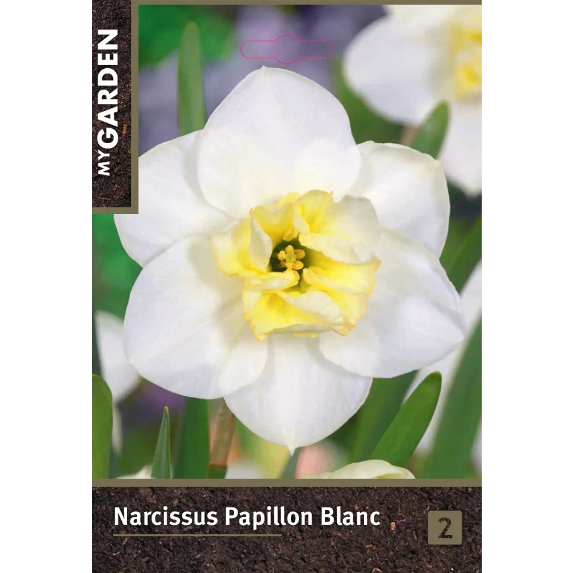 Нарцисс орхидейный Папилон Бланк луковицы 12