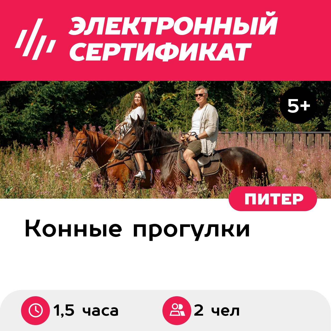 Подарочный сертификат Шаговая конная прогулка в сопровождении инструктора, 2 чел. (1,5 часа)