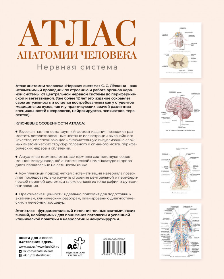 Атлас анатомии человека. Нервная система — фото 1