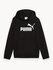 Худи PUMA ESS No. 1 Logo Hoodie TR G