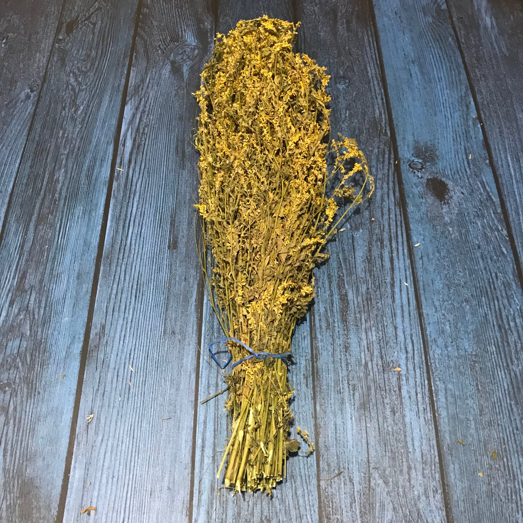 Трава для бани Донник желтый с медовым ароматом - Милая Баня — фото 1