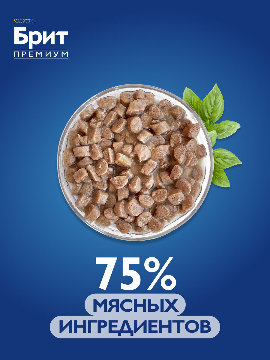 Влажный корм для котят, Белая рыба, кусочки в соусе 85 гр, 14 шт, Brit Premium — фото 1