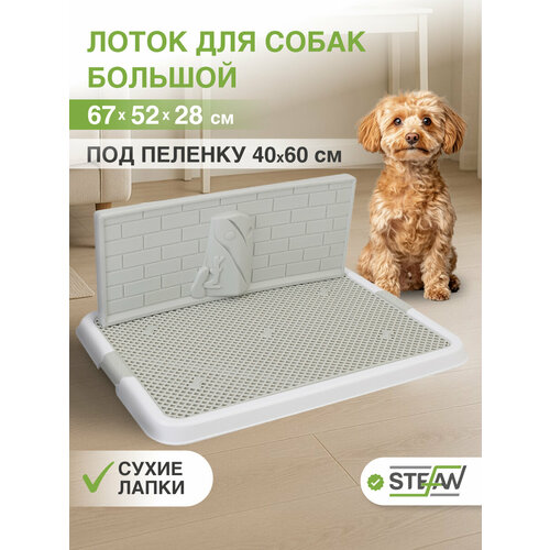 Большой лоток со стенкой для собак и щенков, под пеленку, с сеткой STEFAN (Штефан) размер 67х52х28, BP1310G, белый