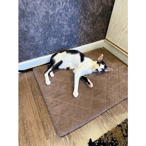 Лежанка для кошек и собак 65*50 (мебельный велюр + поролон). Шоколад.