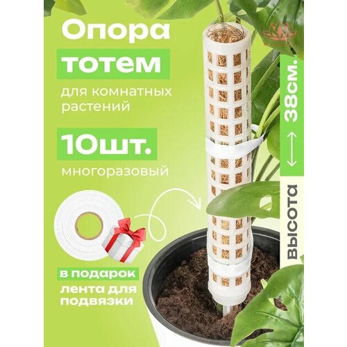 фото Опора для растений - тотем для комнатных цветов, лиан бежевый 38см 10 шт агромадана