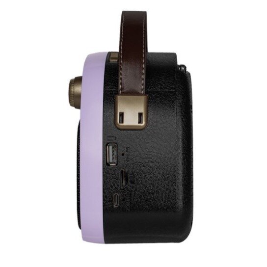 Радиоприемник Ritmix RPR-040 LAVENDER — фото 1