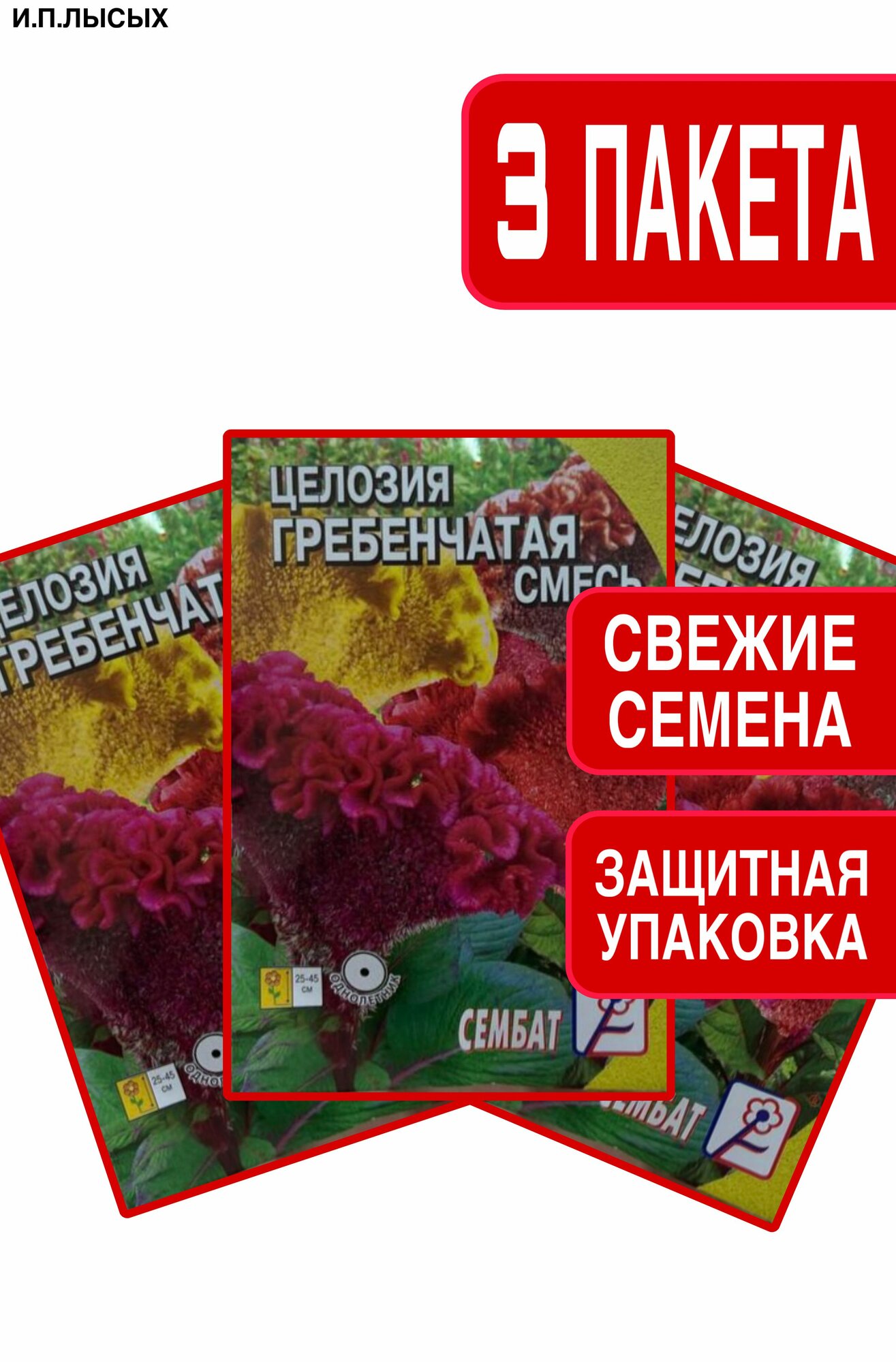 Семена Целозия 