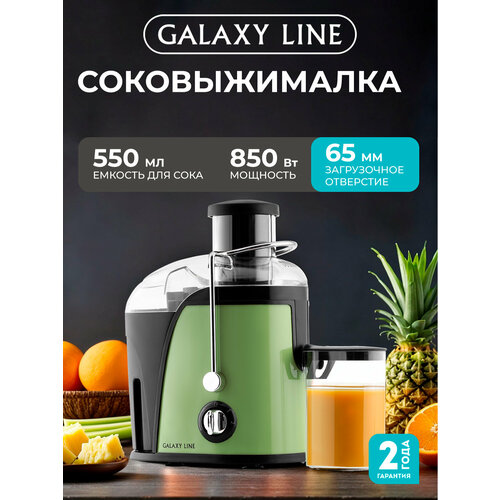 Соковыжималка GALAXY LINE GL0815, центробежная, 850 Вт, фильтр из нержавеющей стали