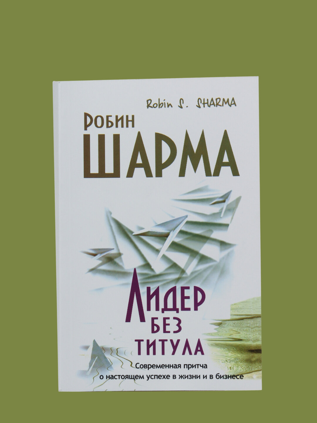 Лидер без титула, Робин Шарма