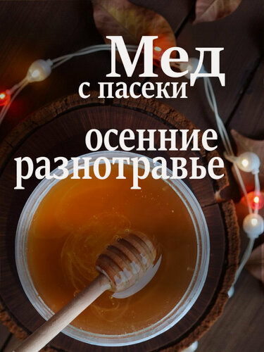 Изображение товара Мед разнотравье, начало осени 2025 г, натуральный, осенняя коллекция меда, 950 гр. Северная пасека