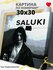 Салуки картина по номерам на холсте