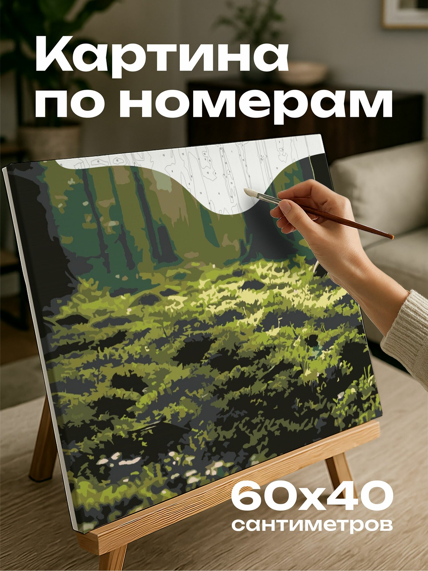 Картина по номерам 60x40 см, лесная местность, мох, подстилка, ростки, солнечный свет, деревья, зелень, Имболк, кроны